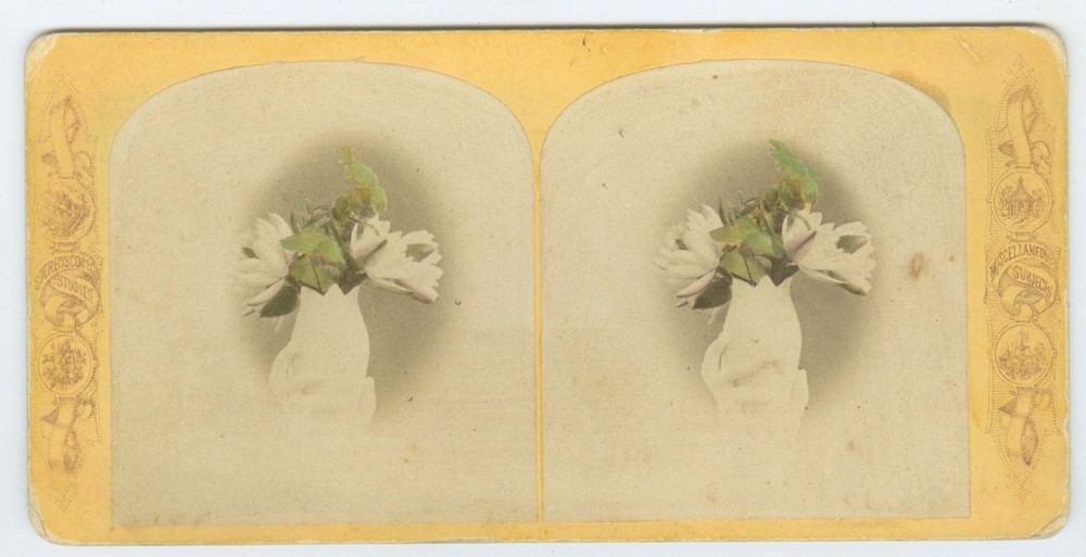 G5024~ TINTED FLOWERS Still Life 1870s Stereoview