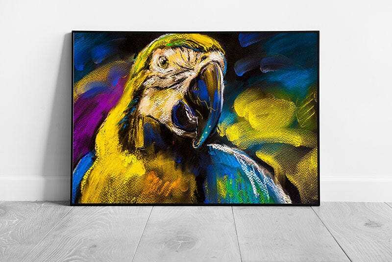 Colourful Parrot Pastel Painting Wall Art Print on Paper Framed Picture print