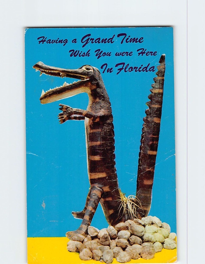 Postcard Alligator Having a Grand Time Wish You Were Here in Florida USA