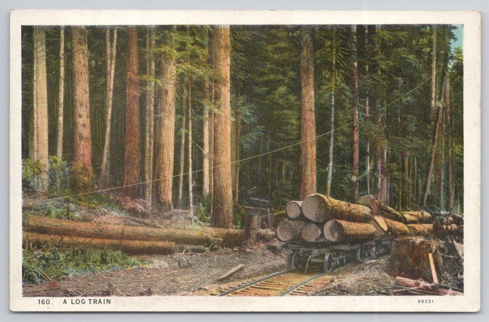 Vintage Log Train Postcard Tacoma WA Logging Forest Lumber Industry C.T. Art