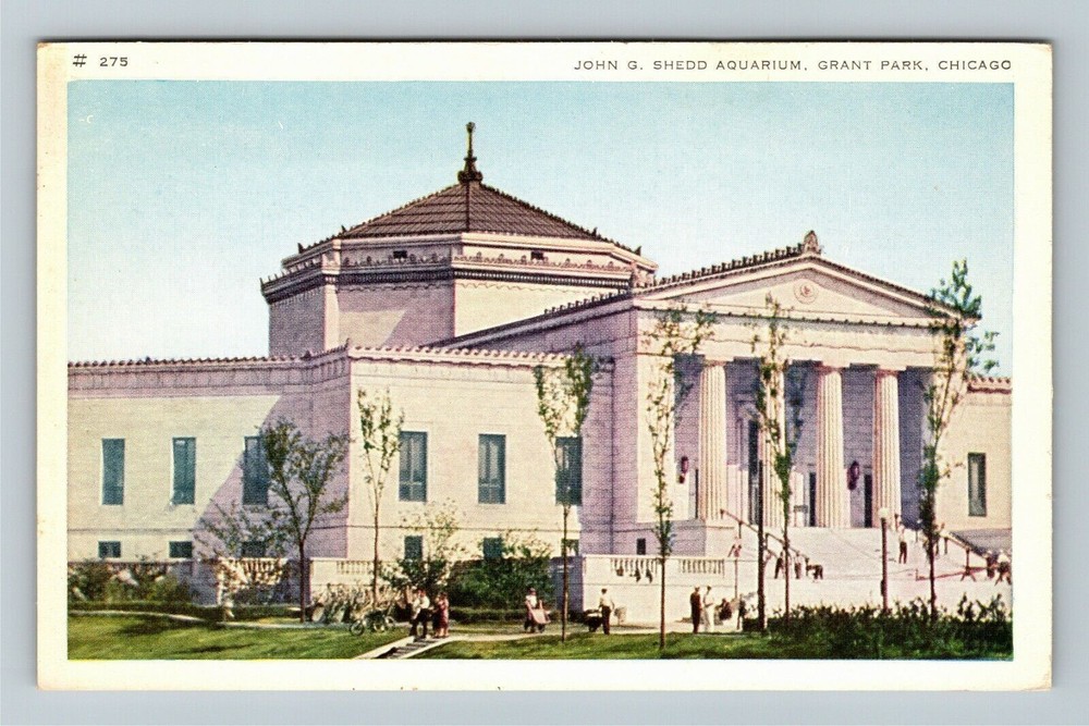 Chicago IL-Illinois, John G Shedd Aquarium, Vintage Postcard