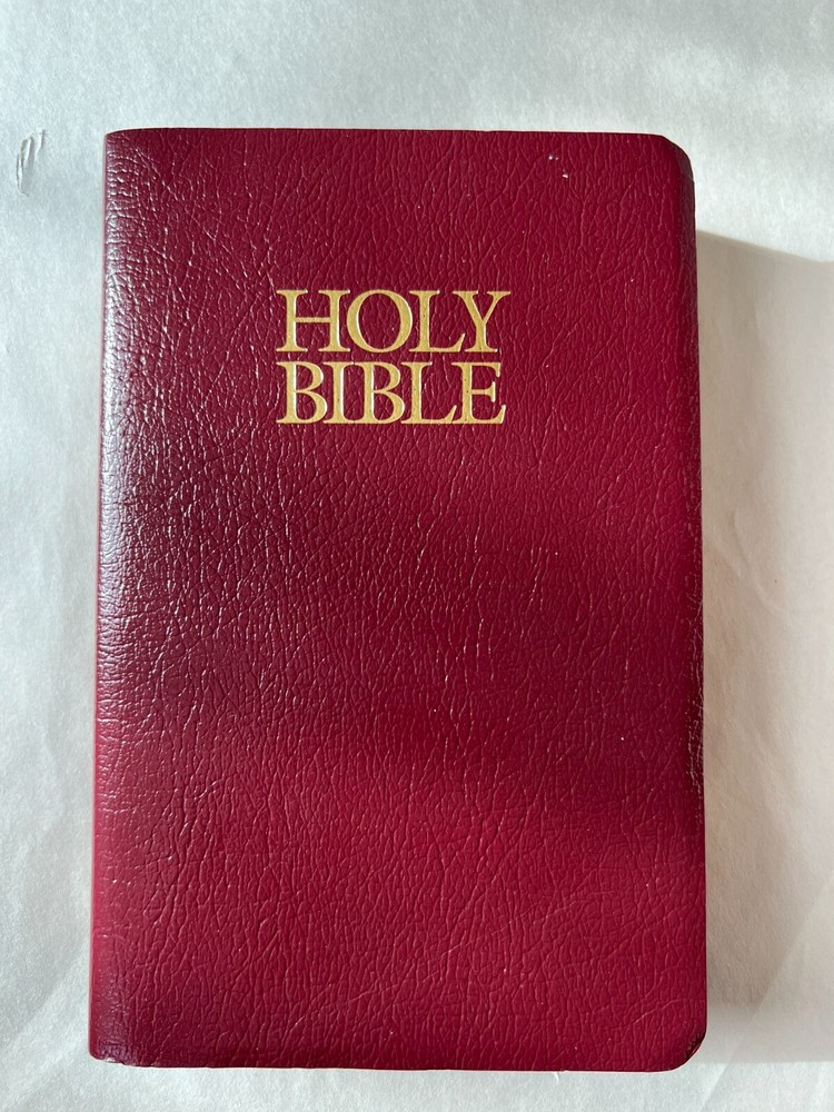 NIV Holy Bible Burgundy Cover Zondervan New International Version  