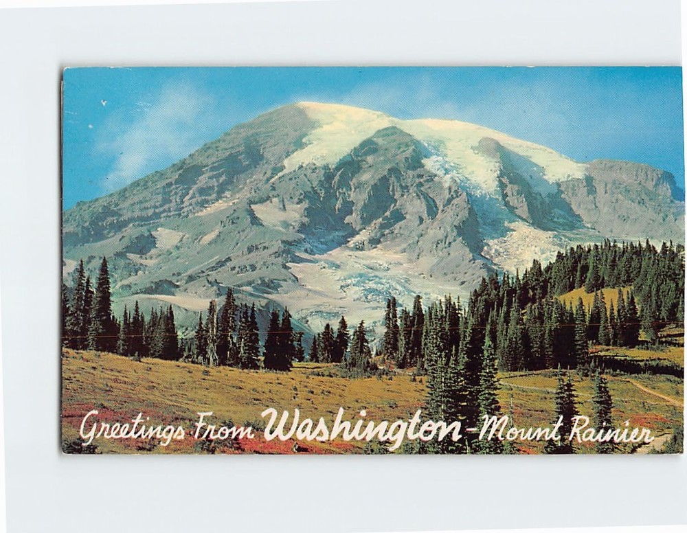Postcard View from Paradise Valley Mount Rainier Greetings From Washington USA