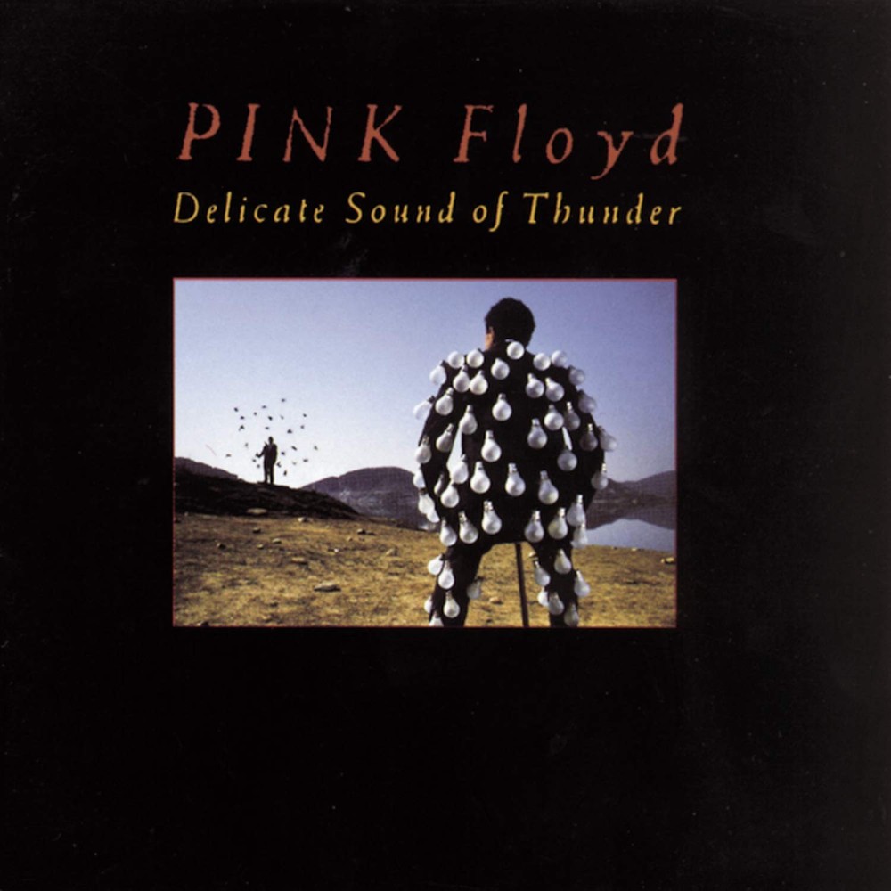 Pink Floyd, Delicate Sound Of Thunder, audioCD
