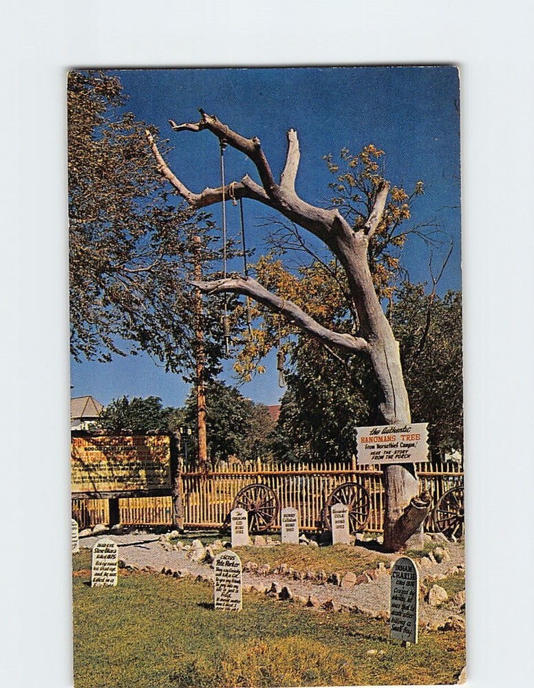 Postcard Hangman's Tree Boot Hill Cemetery Dodge City Kansas USA