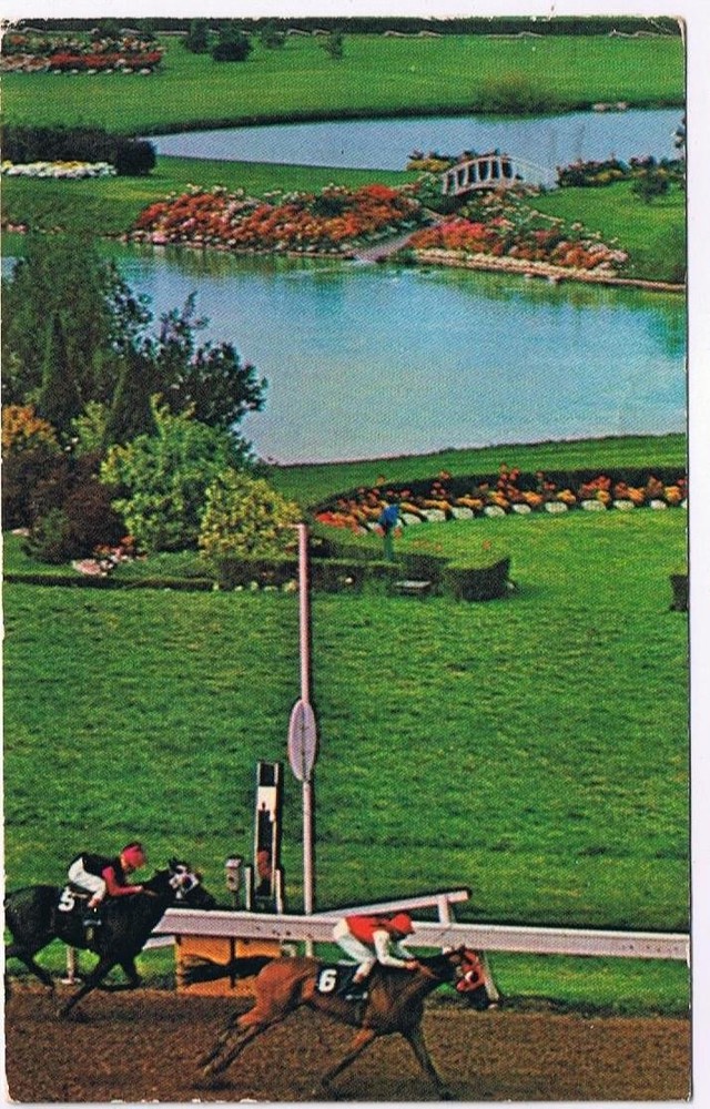 Postcard Fort Erie Racetrack Fort Erie Ontario