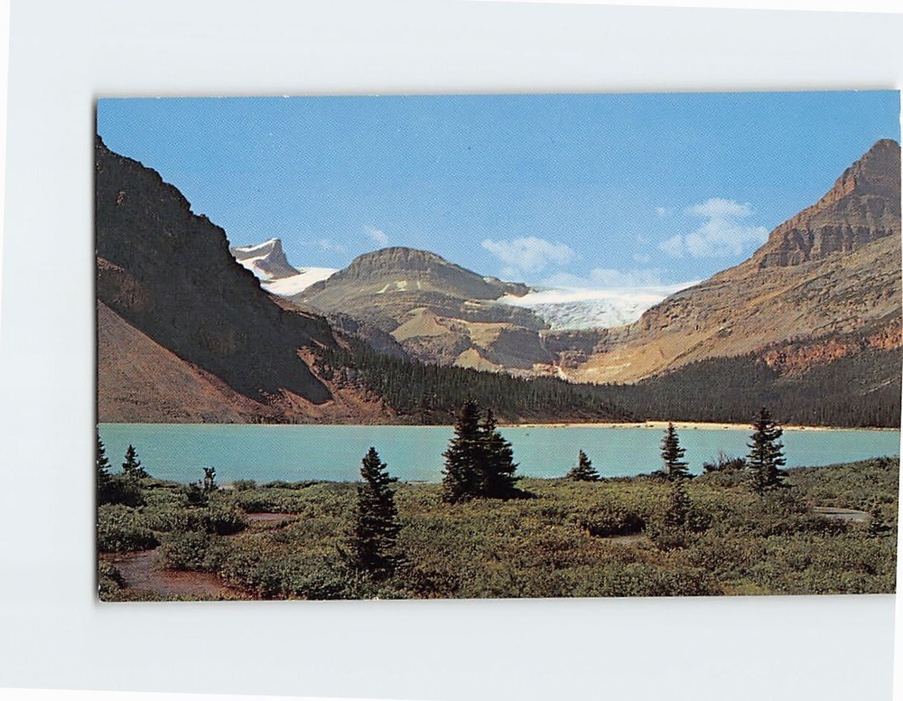 Postcard Bow Lake & Glacier Banff National Park Canada Alberta Canada