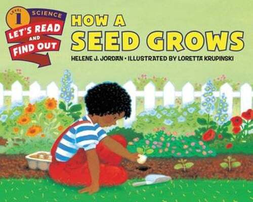 How a Seed Grows by Helene J Jordan: Used
