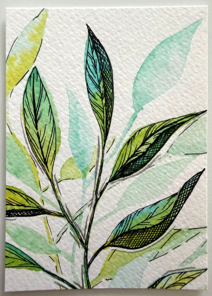 ACEO Original Watercolor Leaves Botanical Ink Line art Mini Painting OOAK Card