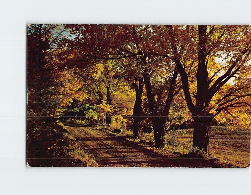 Postcard Autumn Scene Country Road Greetings from Walton New York USA