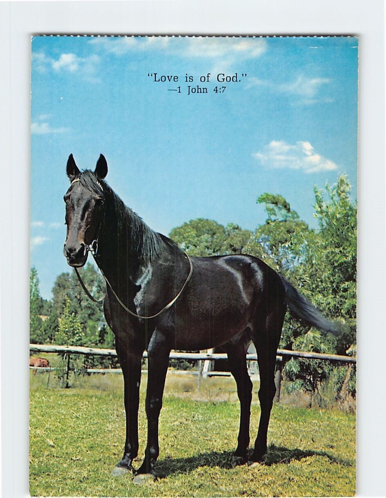 Postcard Greeting Card with Bible Verse and Horse Trees Fence Scene Picture