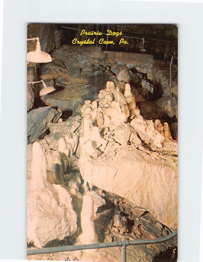 Postcard Prairie Dogs Crystal Cave Pennsylvania USA
