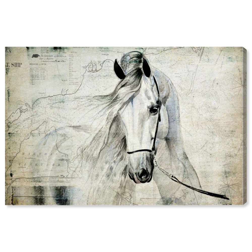 The Oliver Gal Artist Co. Oliver Gal 'Antiqus Equus' Gray Equestrian Wall Art...
