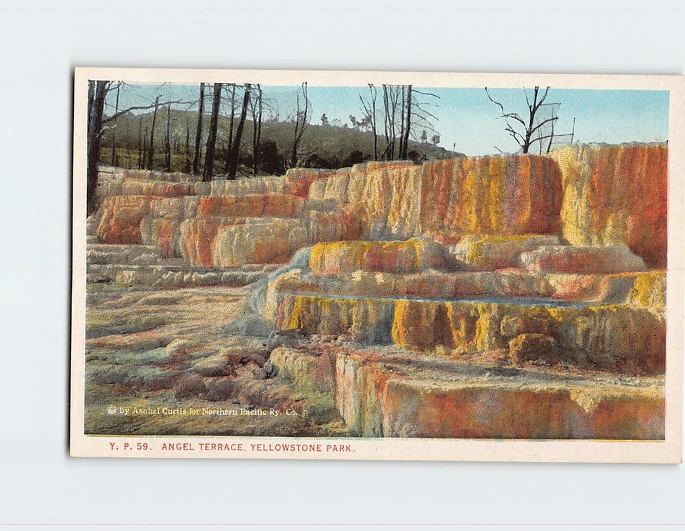 Postcard Angel Terrace Yellowstone Park Mammoth Wyoming USA