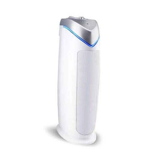 Air Purifier for Home with HEPA Pure Filter, for Wildfire Smoke, Pet Dander,