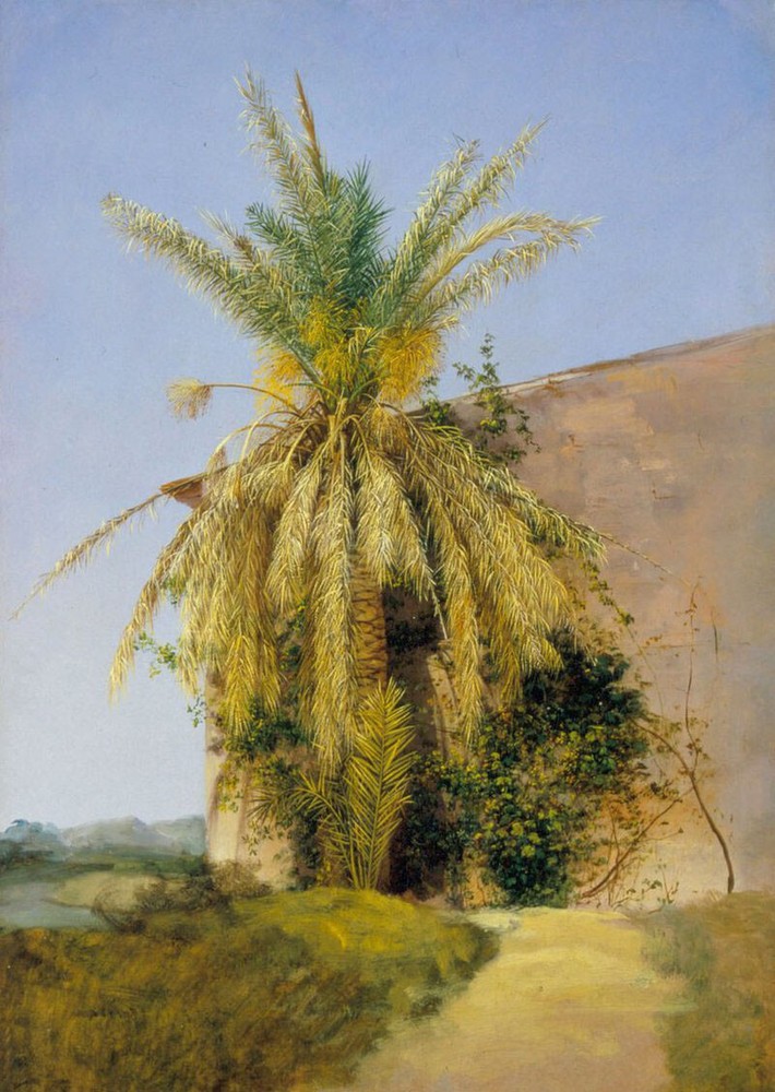 Handpainted Palm Tree Oil Painting on High Quality Canvas