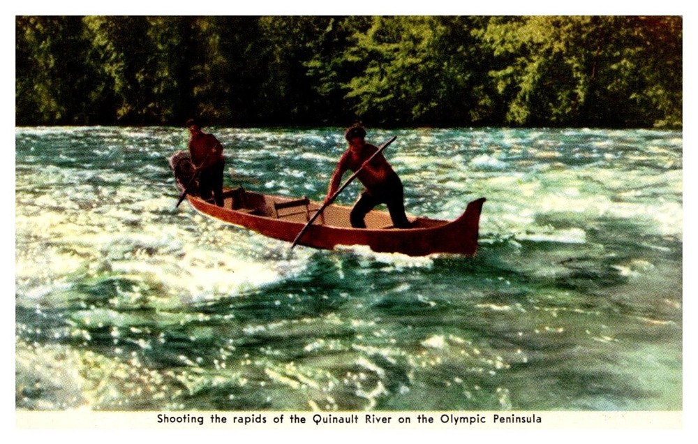 1940s Men in Canoe Quinault River Olympic Peninsula Washington Vintage Postcard