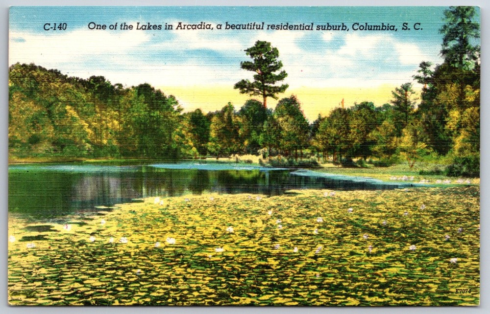 Columbia South Carolina~View On Lake In Arcadia Suburb~Vintage Linen Postcard