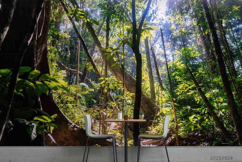 3D Forest Sunshine Landscape Wall Murals Wallpaper Murals Wall Sticker