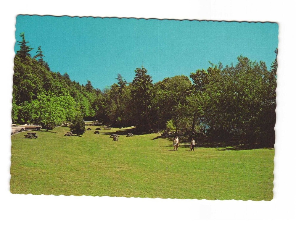 Camano Island State Park Washington vintage postcard unposted