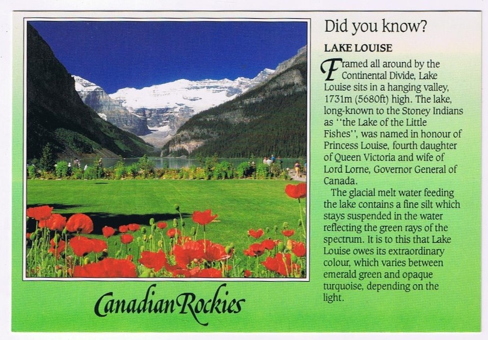 Postcard Lake Louise Poppies Canadian Rockies Banff National Park Alberta