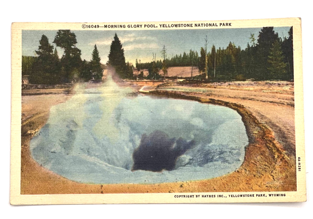 Postcard - Morning Glory Pool, Yellowstone National Park - Wyoming