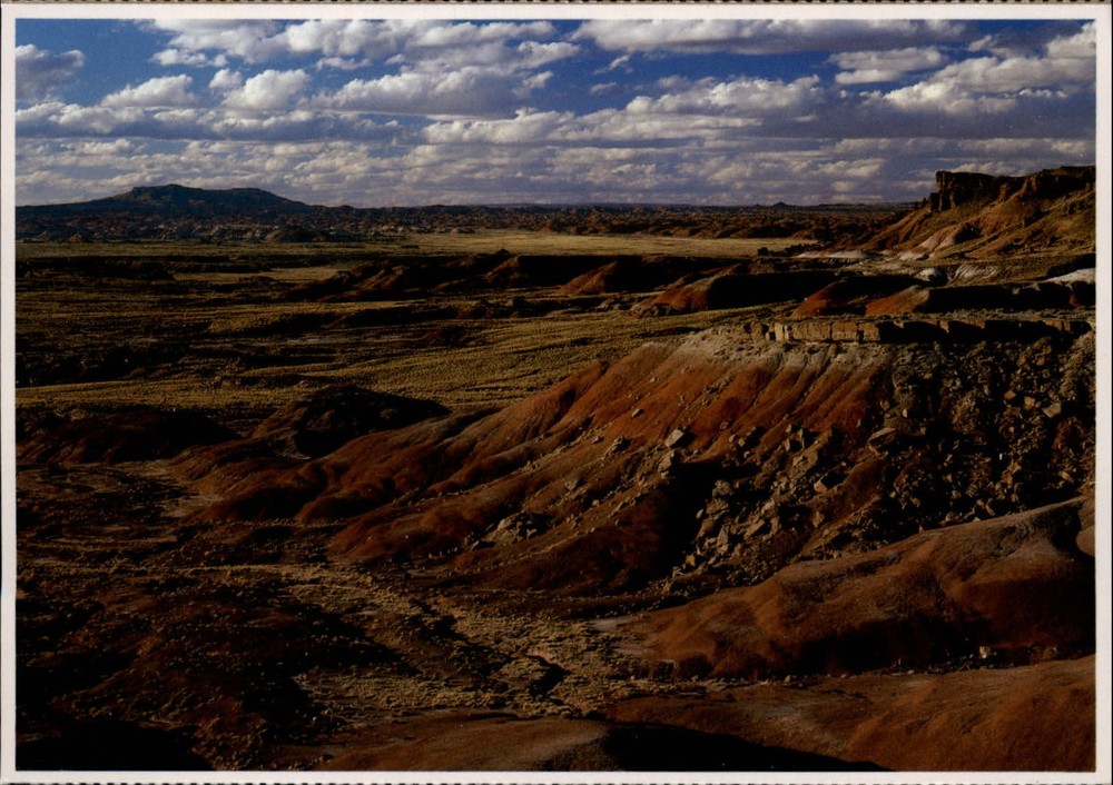 Arizona Petrified Forest Painted Desert aerial view ~ unused postcard sku635