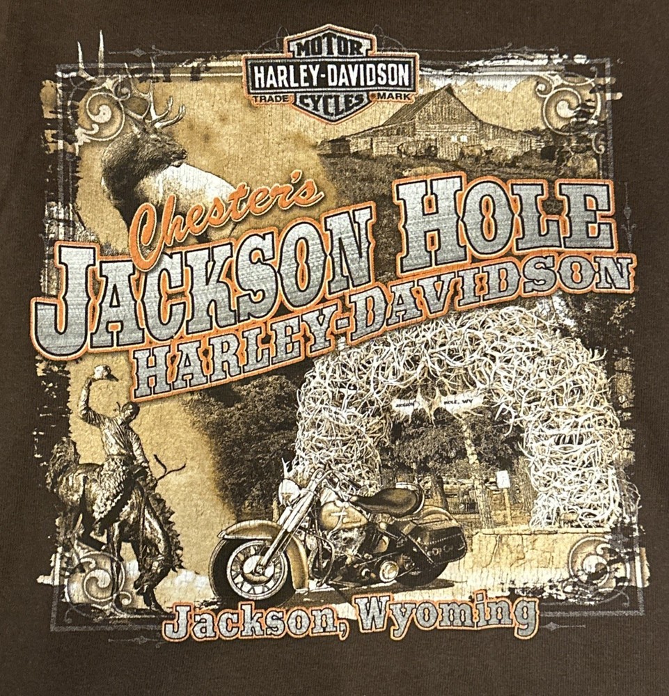 HARLEY DAVIDSON GENUINE MENS XXL T SHIRT Brown Chester’s  JACKSON HOLE WYOMING