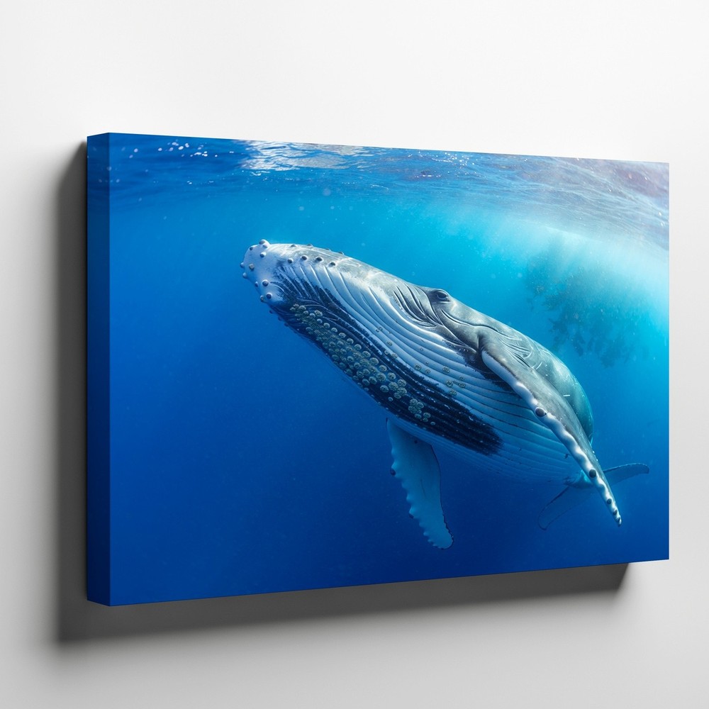 Humpback Whale Canvas Wall Art Ocean Marine Life Underwater Animal Print Decor