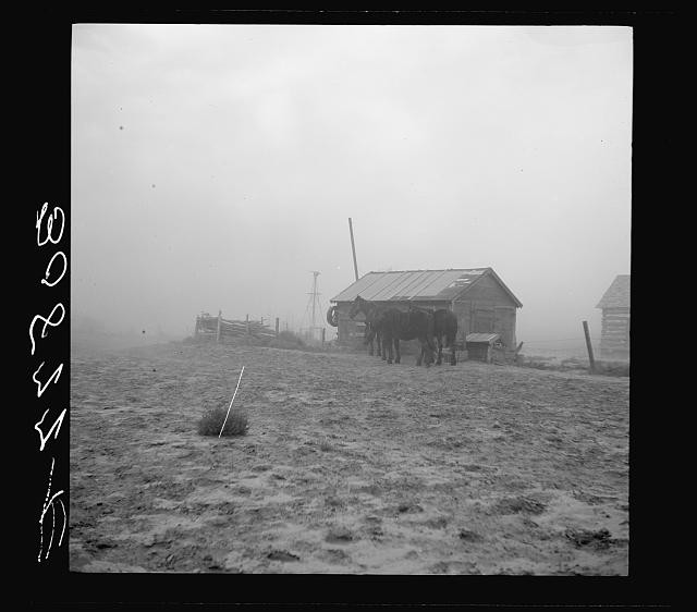Photo:Williston North Dakota 1937 Dust Storm Ranch House Horses