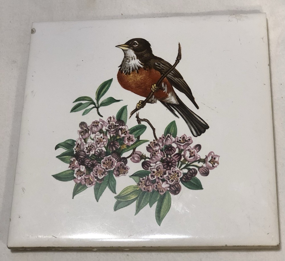 Decorative Ceramic Tile Trivet Wall Hanging American Robin Mountain Laurel 6”x6
