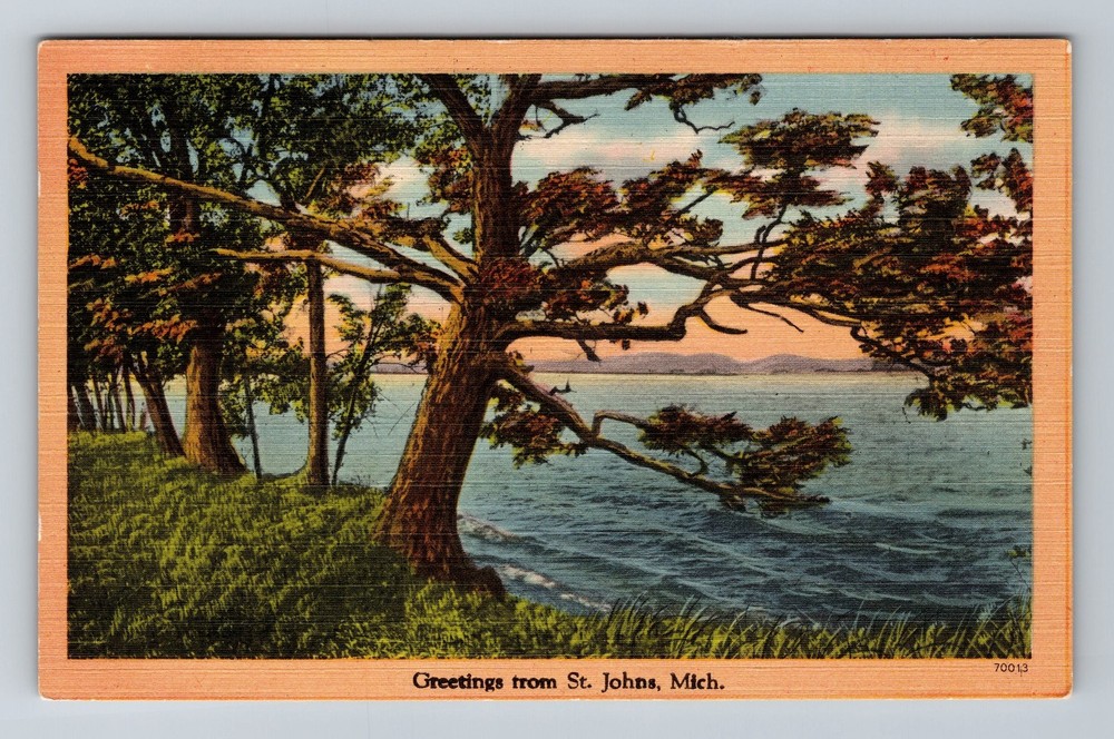 St Johns MI-Michigan Scenic Greetings Waterway Vintage Postcard