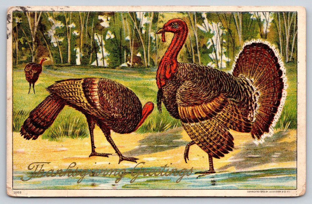 Holiday~Thanksgiving Greetings~Turkey Birds On Edge Of Water~c1910 Postcard