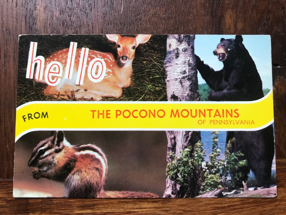 Hello Greetings from the Pocono Mountains of Pennsylvania Postcard