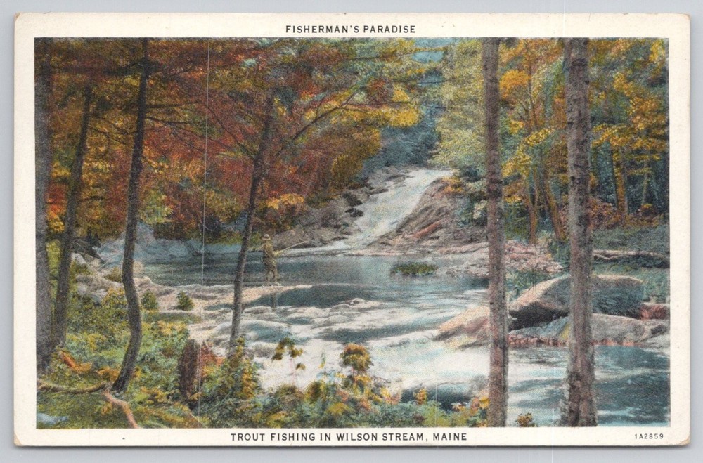 1934 Trout Fishing Wilson Stream Maine Postcard Fisherman's Paradise Waterfall