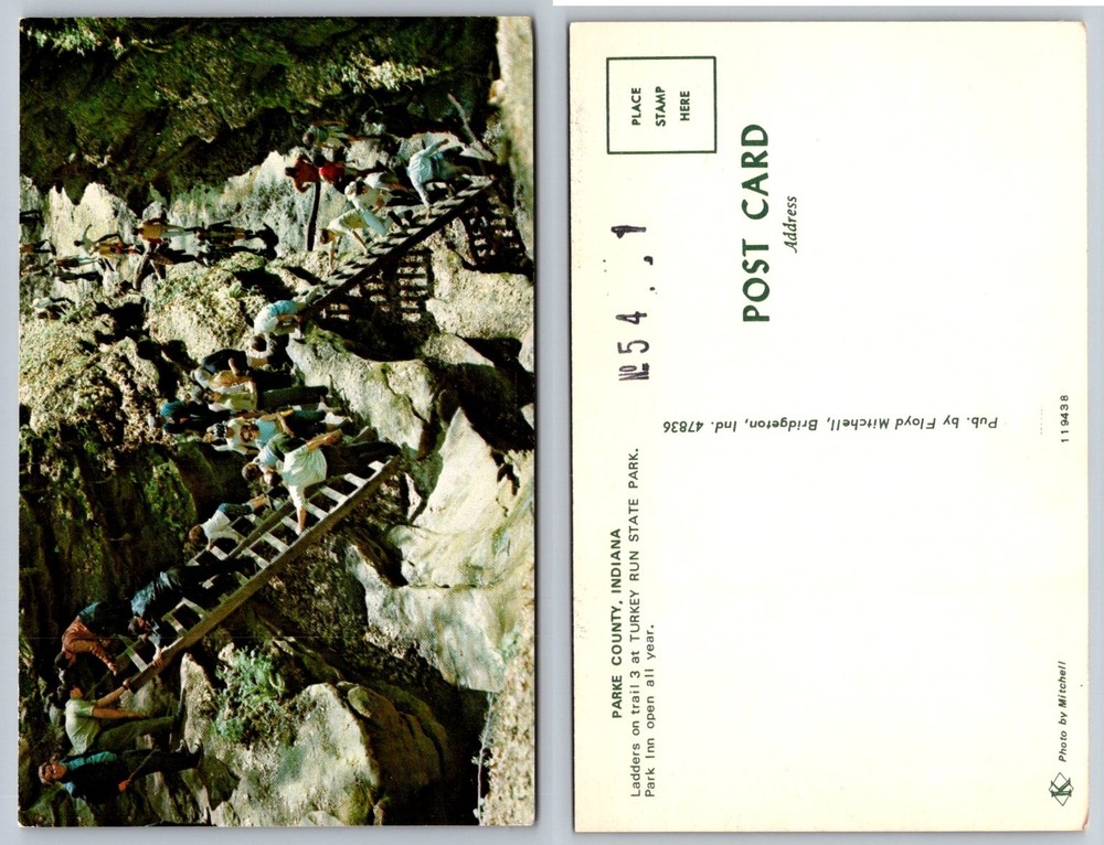 Turkey Run State Park Indiana Ladders Trail 3 Vintage Postcard Chrome