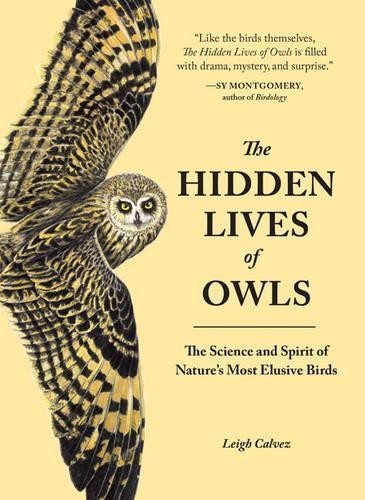 Leigh Calvez The Hidden Lives of Owls (Paperback)Another great item from Rarewaves USA | Free delivery!