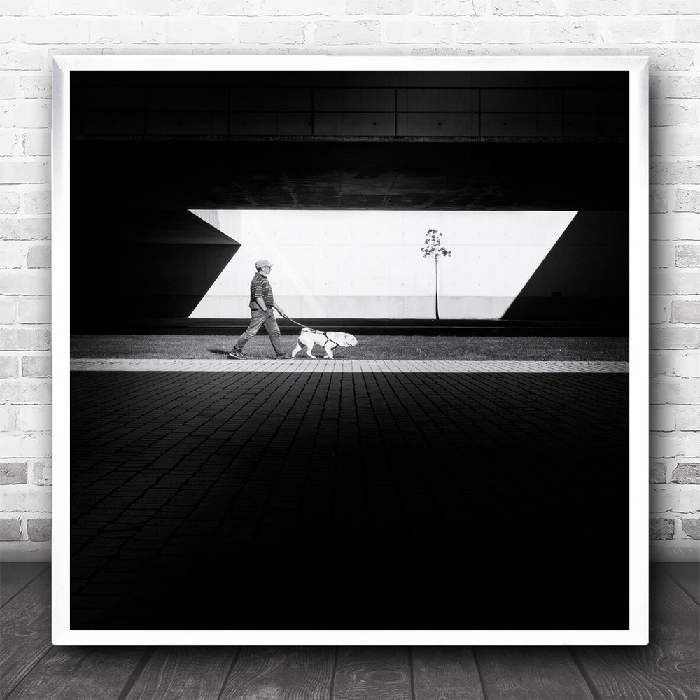 Dog Walking Person Street Contrast Pavement Blind Guide Dark Square Art Print