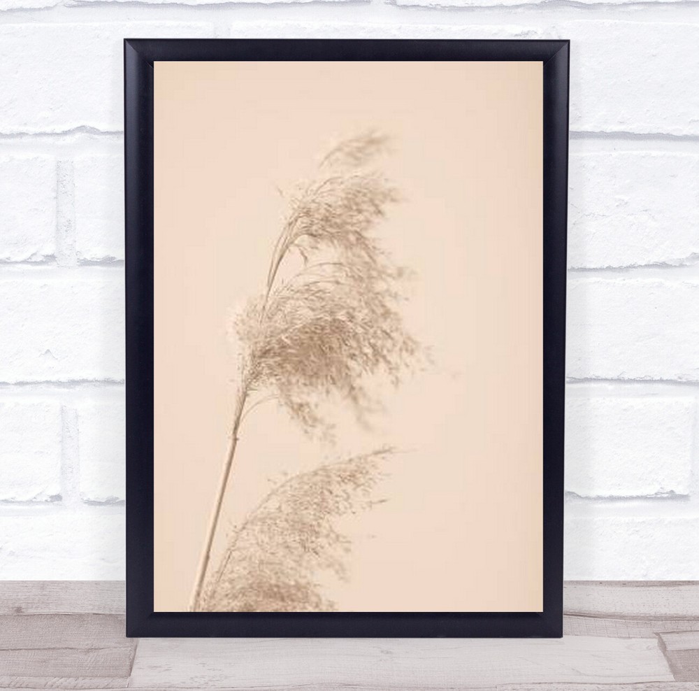 Reed Grass Beige 03 Dried Botanical Studio Wall Art Print