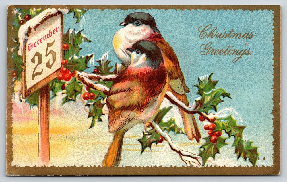 Holiday~Christmas Greetings~Birds On Holly Branch~Gold Border~c1910 Postcard