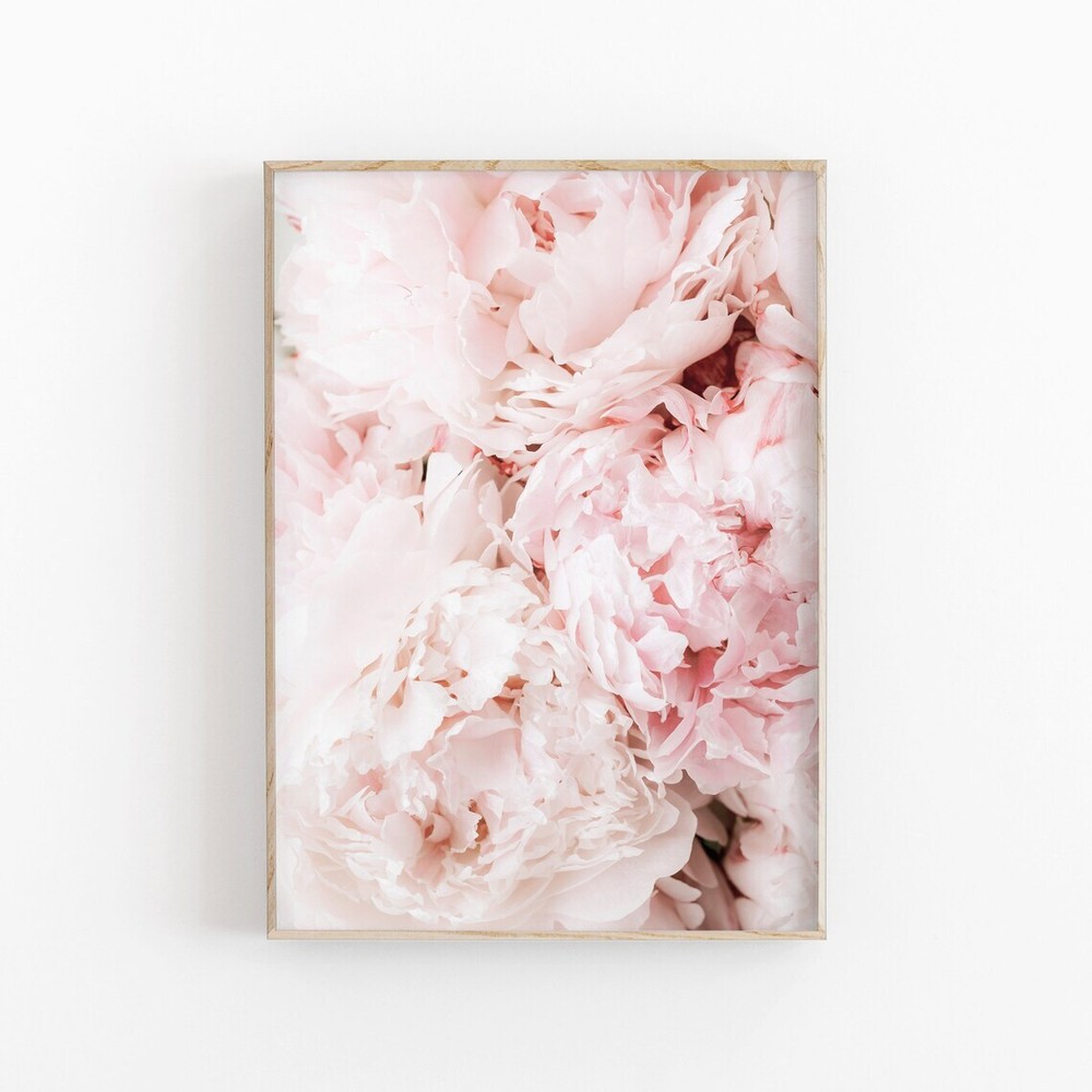 Peony Flowers Wall Art Poster Premium Quality Choose your Size