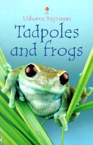 Tadpoles and Frogs by Anna Milbourne: Used