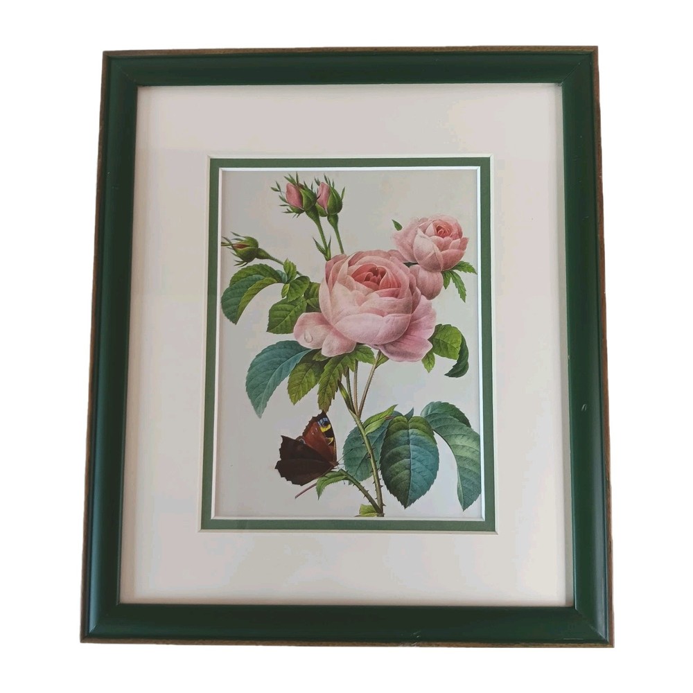 Pierre Joseph Redoute Botanical Flowers ROSA CENTIFOLIA Print In Green Frame 12