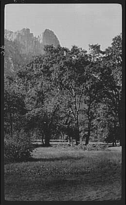 Photo:Yosemite National Park California 1900s Scenic Trees Mountains