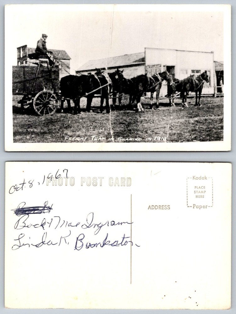 Shaniko Oregon 1910 FREIGHT TEAM RPPC Kodak Photo Post Card 1967
