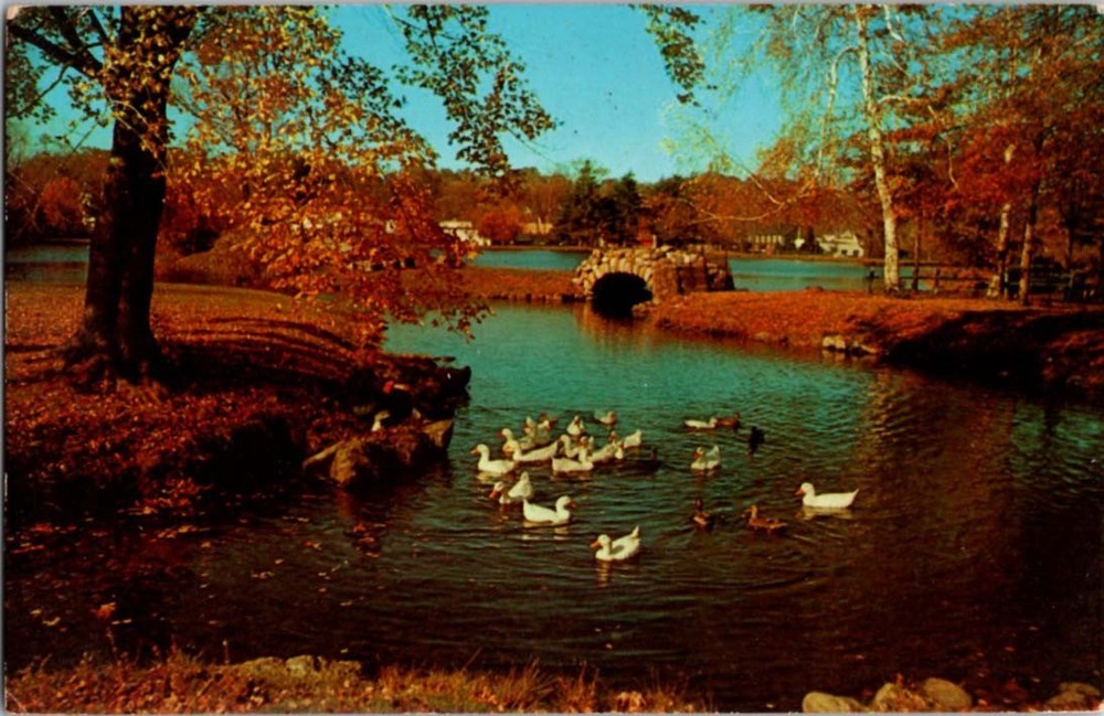 Pre-1980 RIVER SCENE Long Island - Huntington New York NY m/14 BJ8044