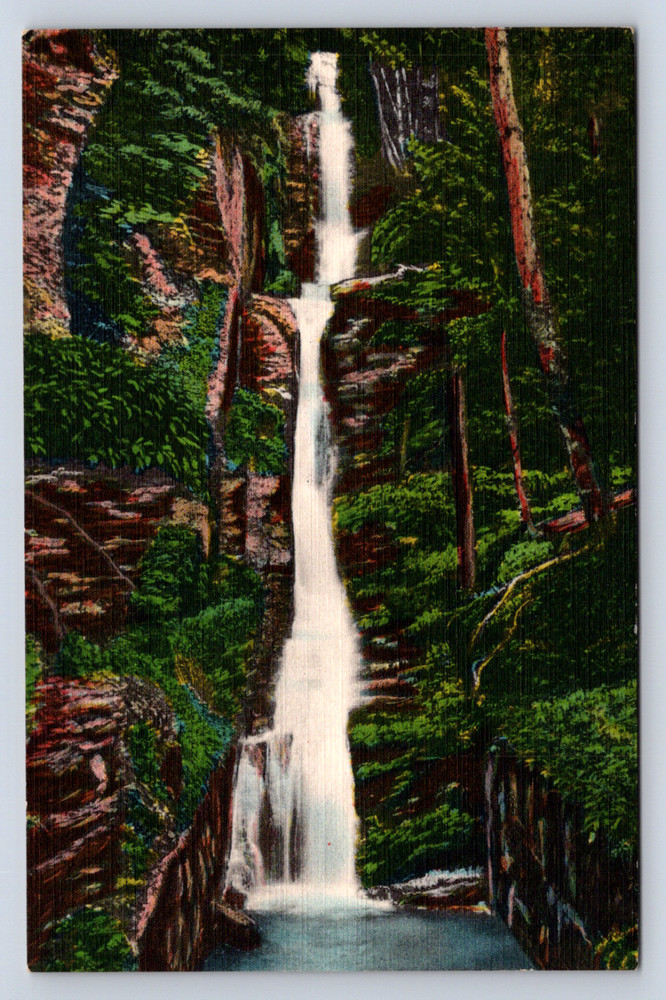 Vintage Postcard Silver Thread Falls Dingman's Ferry Pocono Mountains