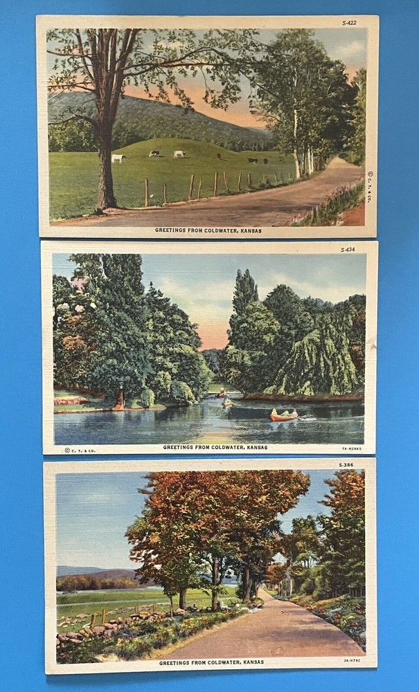 Coldwater Kansas Greetings From Scenic Views c1940s KS Linen Postcard Lot UNUSED