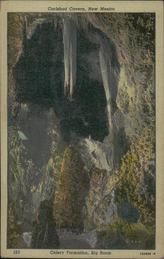 Vintage Linen Postcard Carlsbad Caverns Celery Formation Big Room NM