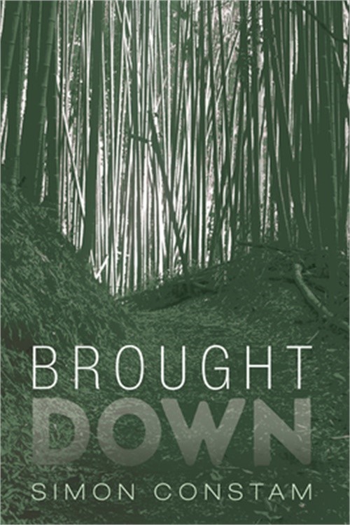 Brought Down (Paperback or Softback)